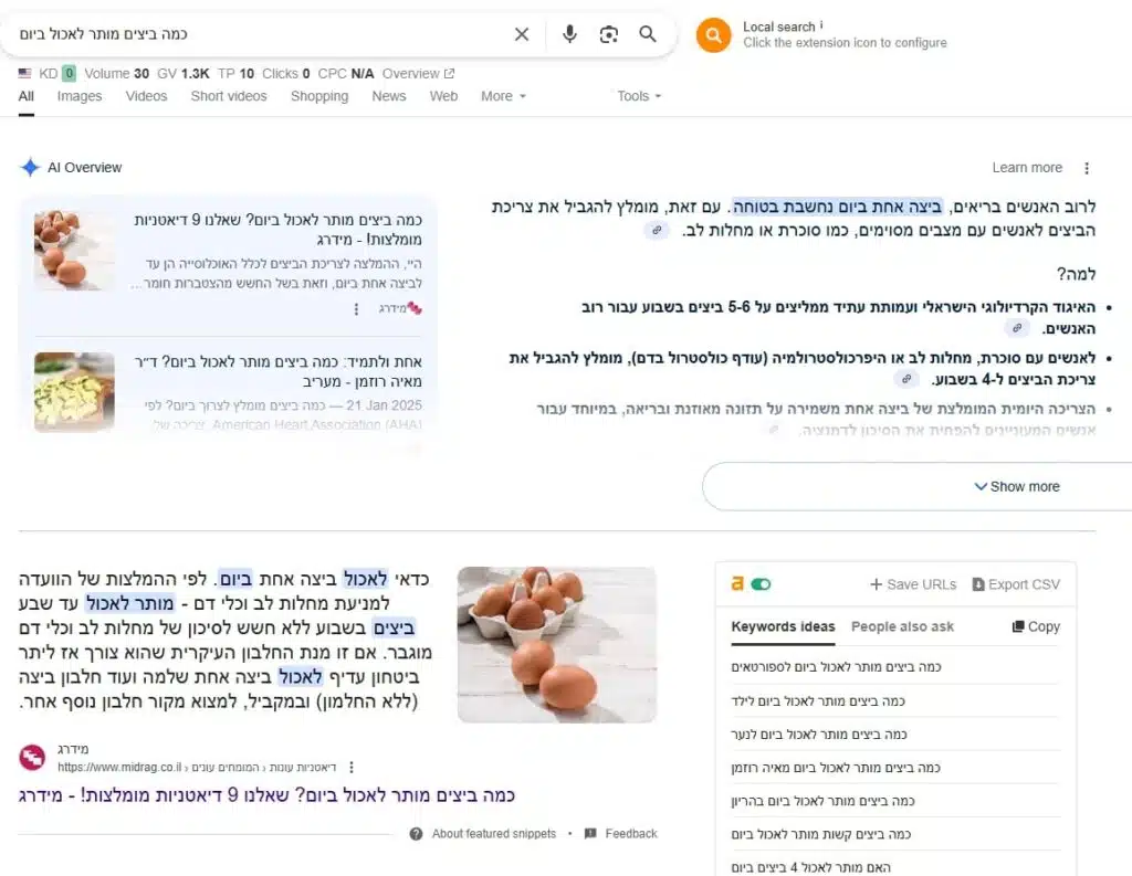 AI Overview במחשב